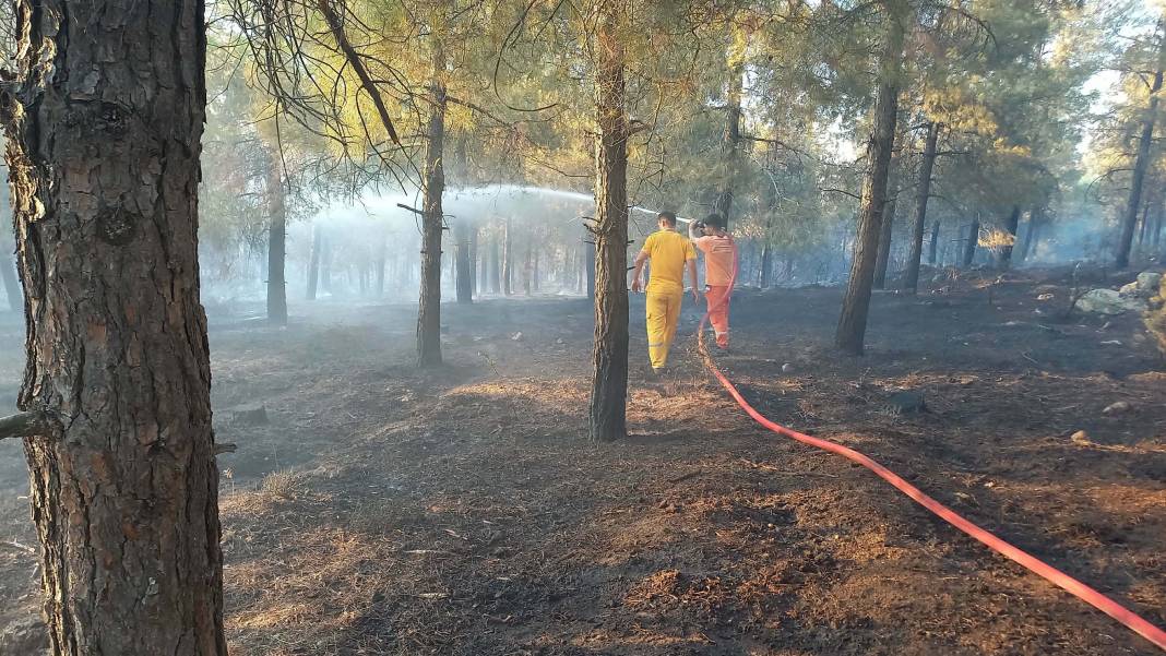 Balıkesir'deki orman yangını kontrol altına alındı 2